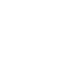 کلینیک زیبایی شاپرک طلایی مشهد