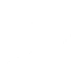 کلینیک زیبایی شاپرک طلایی مشهد